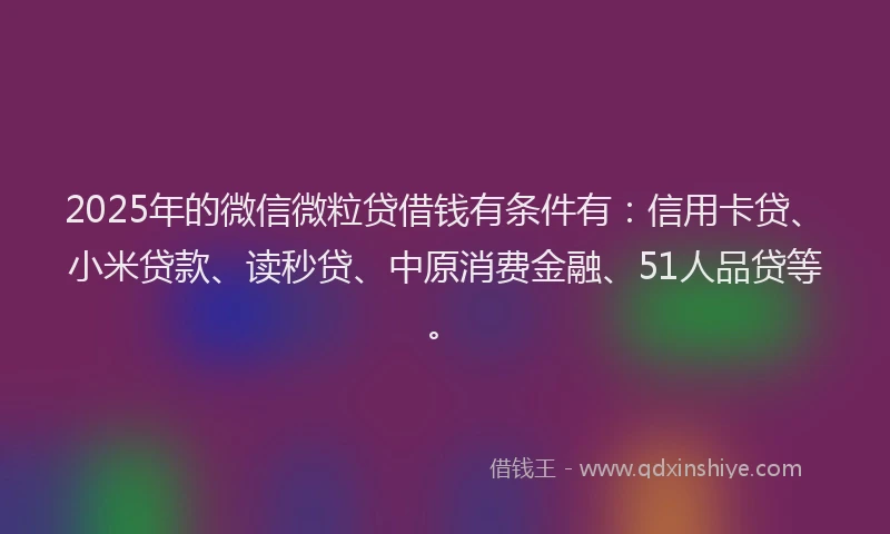 2025年的微信微粒贷借钱有条件有：信用卡贷、小米贷款、读秒贷、中原消费金融、51人品贷等。
