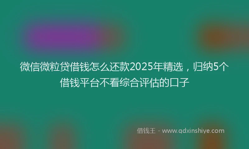 微信微粒贷借钱怎么还款2025年精选，归纳5个借钱平台不看综合评估的口子