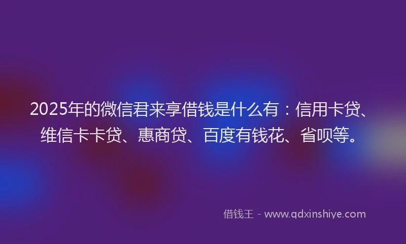 2025年的微信君来享借钱是什么有：信用卡贷、维信卡卡贷、惠商贷、百度有钱花、省呗等。