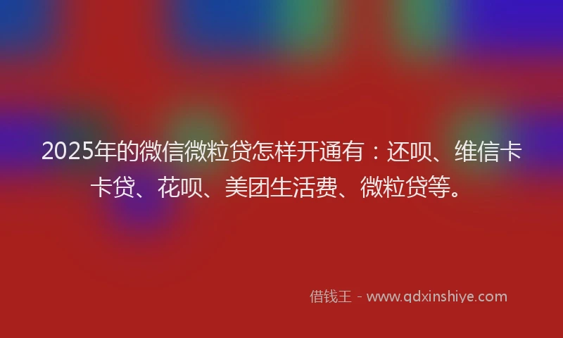 2025年的微信微粒贷怎样开通有：还呗、维信卡卡贷、花呗、美团生活费、微粒贷等。