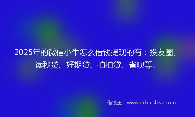 2025年的微信小牛怎么借钱提现的有：投友圈、读秒贷、好期贷、拍拍贷、省呗等。