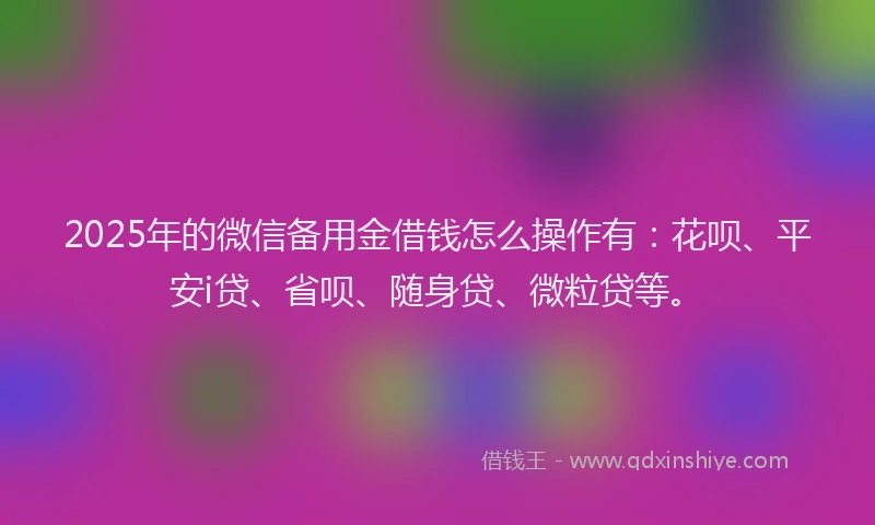 2025年的微信备用金借钱怎么操作有：花呗、平安i贷、省呗、随身贷、微粒贷等。