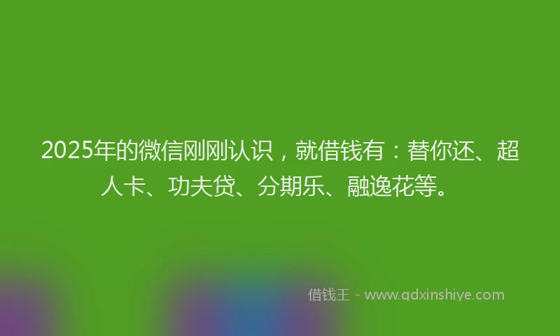 2025年的微信刚刚认识，就借钱有：替你还、超人卡、功夫贷、分期乐、融逸花等。