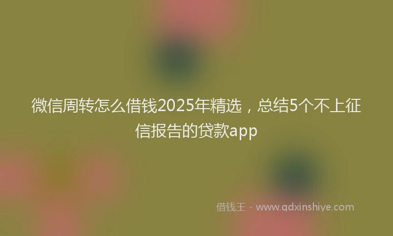微信周转怎么借钱2025年精选，总结5个不上征信报告的贷款app