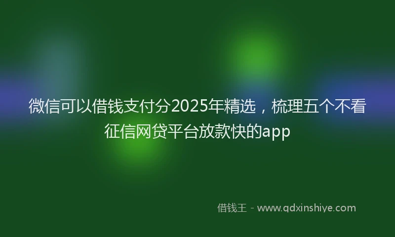 微信可以借钱支付分2025年精选，梳理五个不看征信网贷平台放款快的app