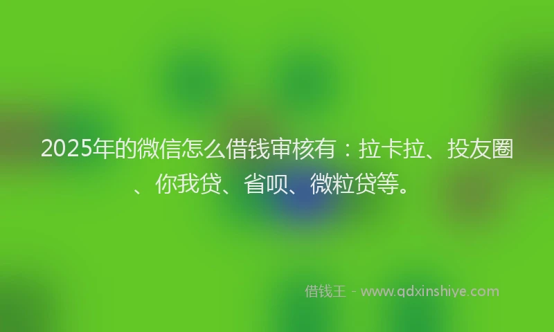 2025年的微信怎么借钱审核有：拉卡拉、投友圈、你我贷、省呗、微粒贷等。
