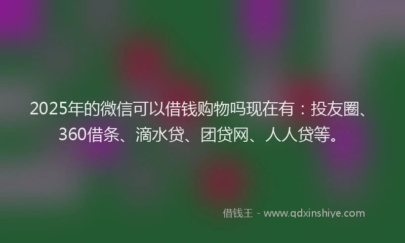 2025年的微信可以借钱购物吗现在有：投友圈、360借条、滴水贷、团贷网、人人贷等。