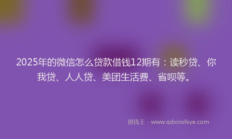 2025年的微信怎么贷款借钱12期有：读秒贷、你我贷、人人贷、美团生活费、省呗等。