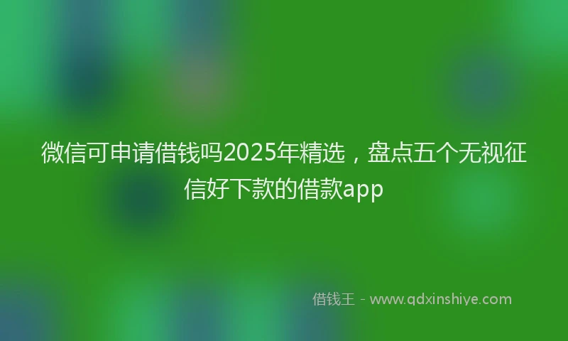 微信可申请借钱吗2025年精选，盘点五个无视征信好下款的借款app