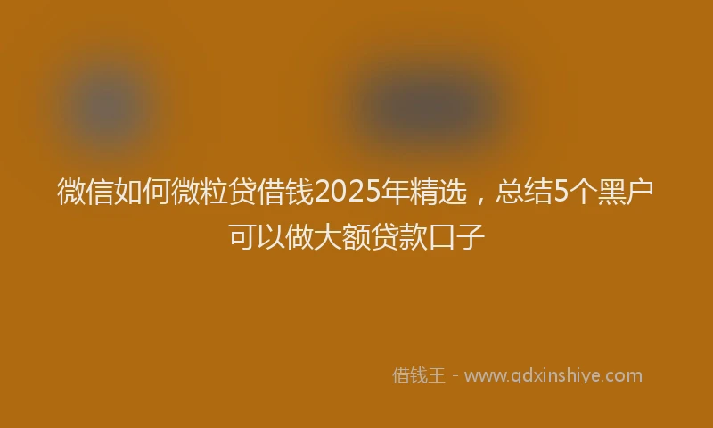 微信如何微粒贷借钱2025年精选，总结5个黑户可以做大额贷款口子