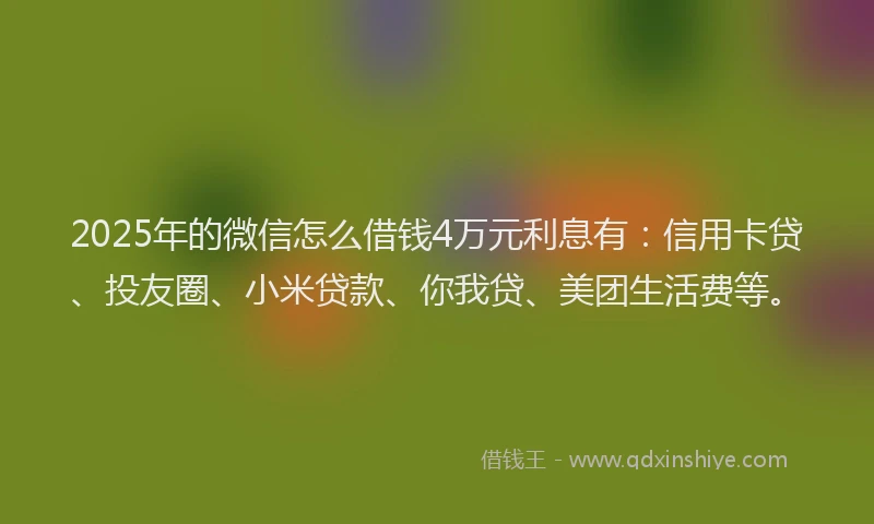2025年的微信怎么借钱4万元利息有：信用卡贷、投友圈、小米贷款、你我贷、美团生活费等。