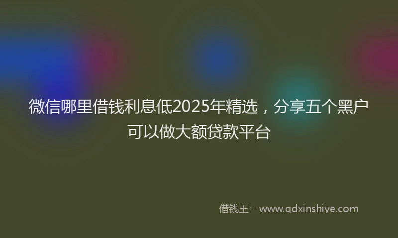 微信哪里借钱利息低2025年精选，分享五个黑户可以做大额贷款平台