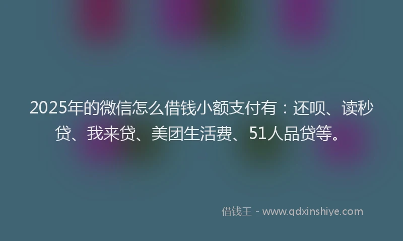 2025年的微信怎么借钱小额支付有：还呗、读秒贷、我来贷、美团生活费、51人品贷等。