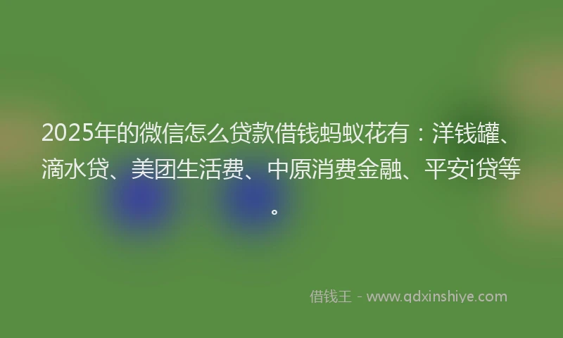 2025年的微信怎么贷款借钱蚂蚁花有：洋钱罐、滴水贷、美团生活费、中原消费金融、平安i贷等。