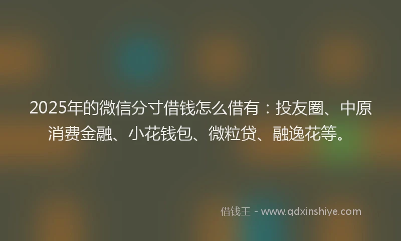2025年的微信分寸借钱怎么借有：投友圈、中原消费金融、小花钱包、微粒贷、融逸花等。