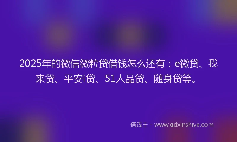 2025年的微信微粒贷借钱怎么还有：e微贷、我来贷、平安i贷、51人品贷、随身贷等。
