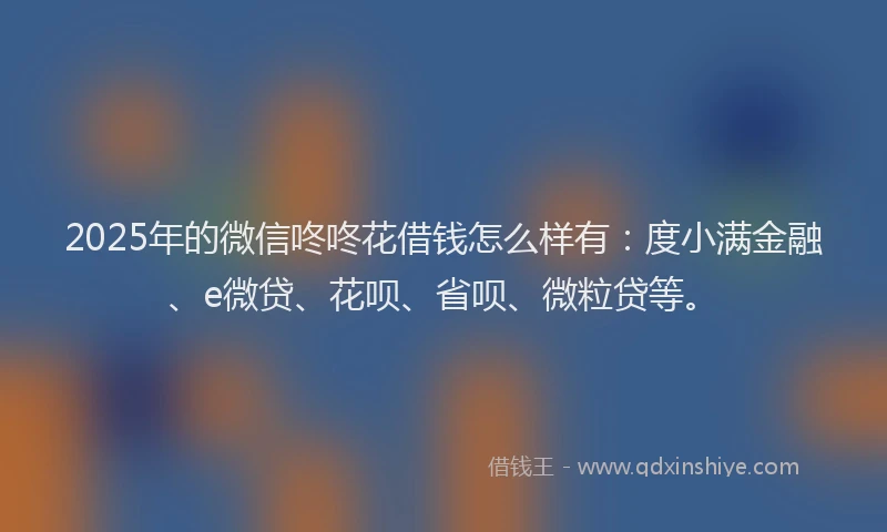 2025年的微信咚咚花借钱怎么样有：度小满金融、e微贷、花呗、省呗、微粒贷等。