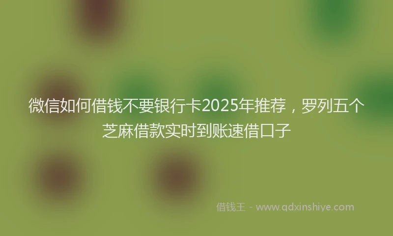 微信如何借钱不要银行卡2025年推荐，罗列五个芝麻借款实时到账速借口子