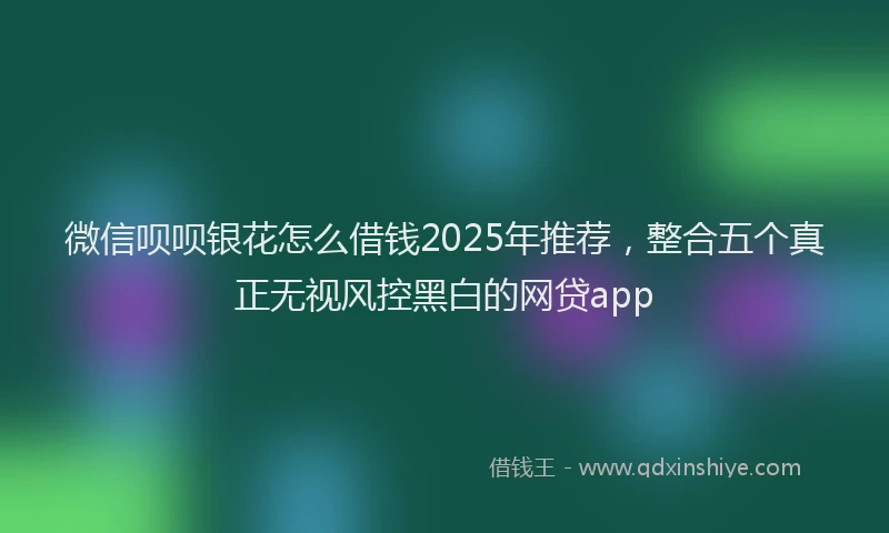 微信呗呗银花怎么借钱2025年推荐，整合五个真正无视风控黑白的网贷app
