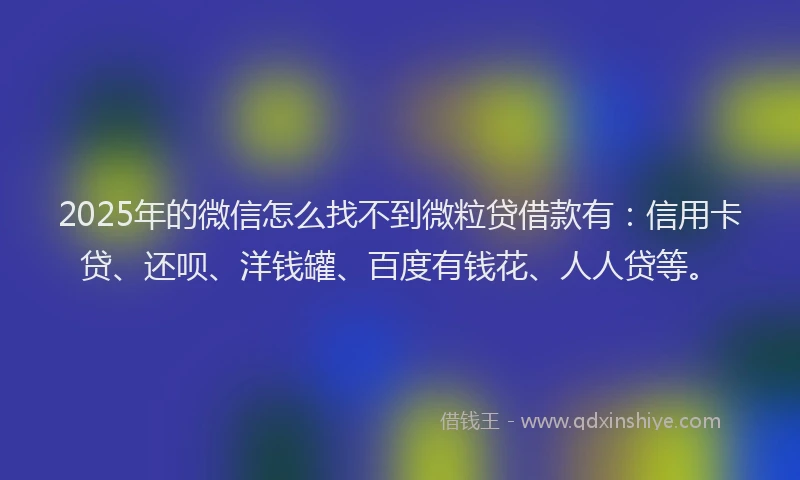 2025年的微信怎么找不到微粒贷借款有：信用卡贷、还呗、洋钱罐、百度有钱花、人人贷等。