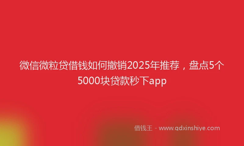 微信微粒贷借钱如何撤销2025年推荐，盘点5个5000块贷款秒下app