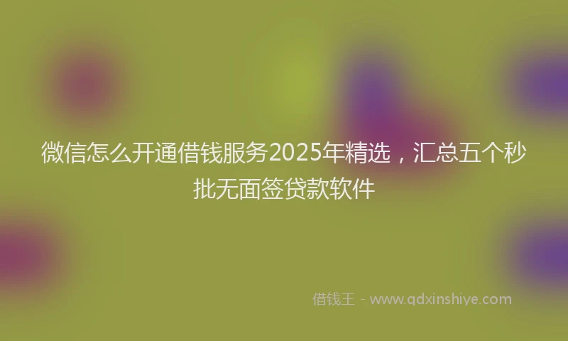 微信怎么开通借钱服务2025年精选，汇总五个秒批无面签贷款软件