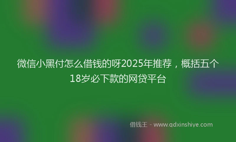 微信小黑付怎么借钱的呀2025年推荐，概括五个18岁必下款的网贷平台