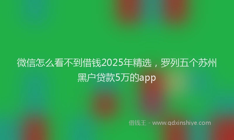 微信怎么看不到借钱2025年精选，罗列五个苏州黑户贷款5万的app