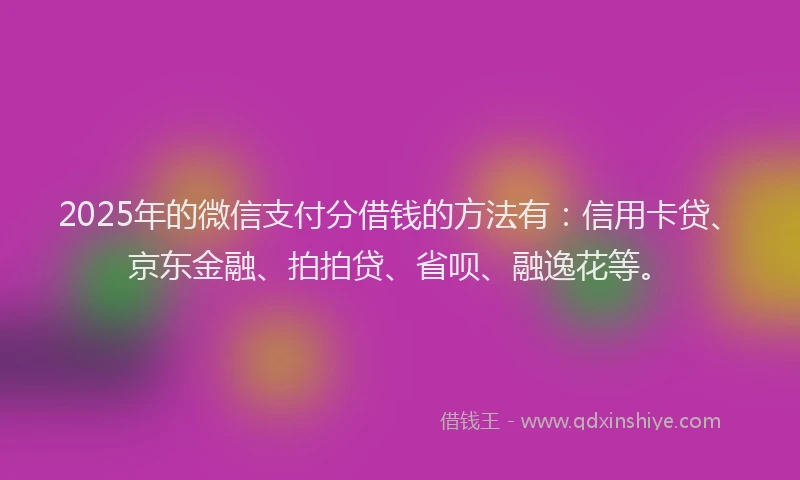 2025年的微信支付分借钱的方法有：信用卡贷、京东金融、拍拍贷、省呗、融逸花等。