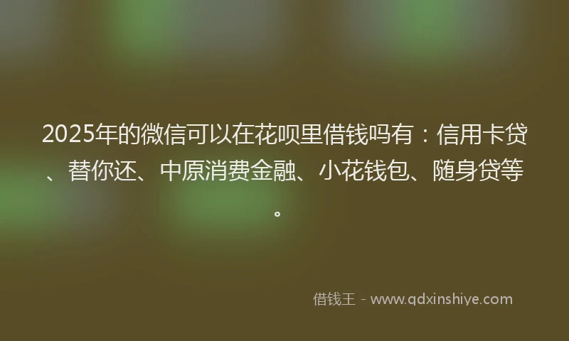 2025年的微信可以在花呗里借钱吗有：信用卡贷、替你还、中原消费金融、小花钱包、随身贷等。