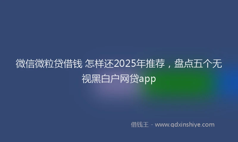 微信微粒贷借钱 怎样还2025年推荐，盘点五个无视黑白户网贷app