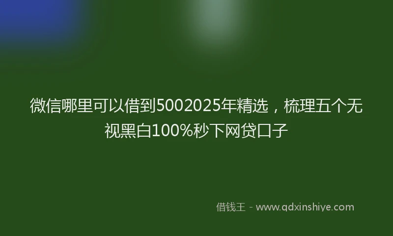 微信哪里可以借到5002025年精选，梳理五个无视黑白100%秒下网贷口子