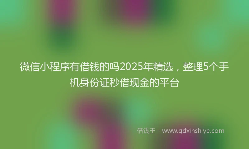 微信小程序有借钱的吗2025年精选，整理5个手机身份证秒借现金的平台