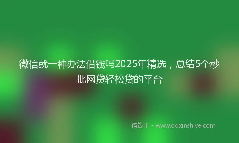 微信就一种办法借钱吗2025年精选，总结5个秒批网贷轻松贷的平台