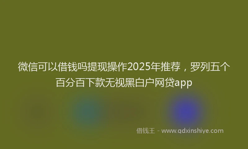 微信可以借钱吗提现操作2025年推荐，罗列五个百分百下款无视黑白户网贷app