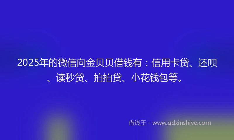 2025年的微信向金贝贝借钱有：信用卡贷、还呗、读秒贷、拍拍贷、小花钱包等。