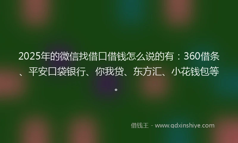 2025年的微信找借口借钱怎么说的有：360借条、平安口袋银行、你我贷、东方汇、小花钱包等。