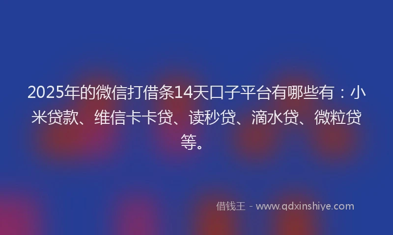 2025年的微信打借条14天口子平台有哪些有：小米贷款、维信卡卡贷、读秒贷、滴水贷、微粒贷等。