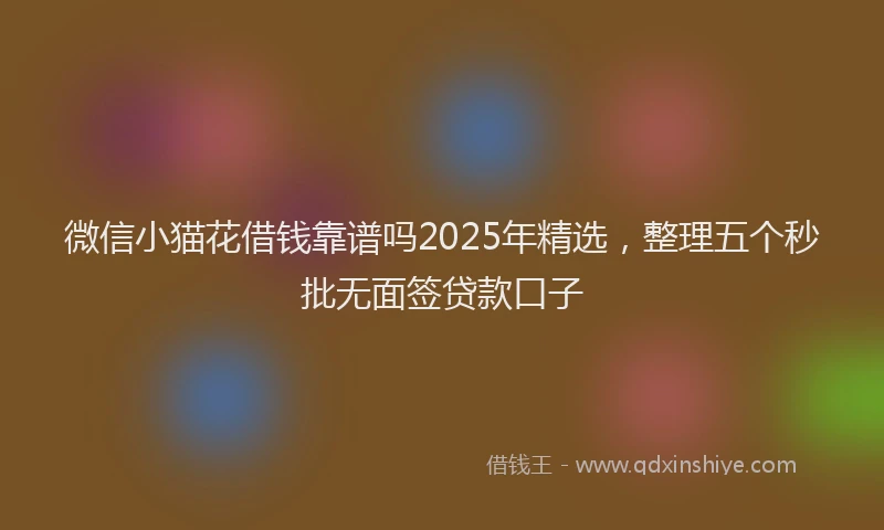 微信小猫花借钱靠谱吗2025年精选，整理五个秒批无面签贷款口子