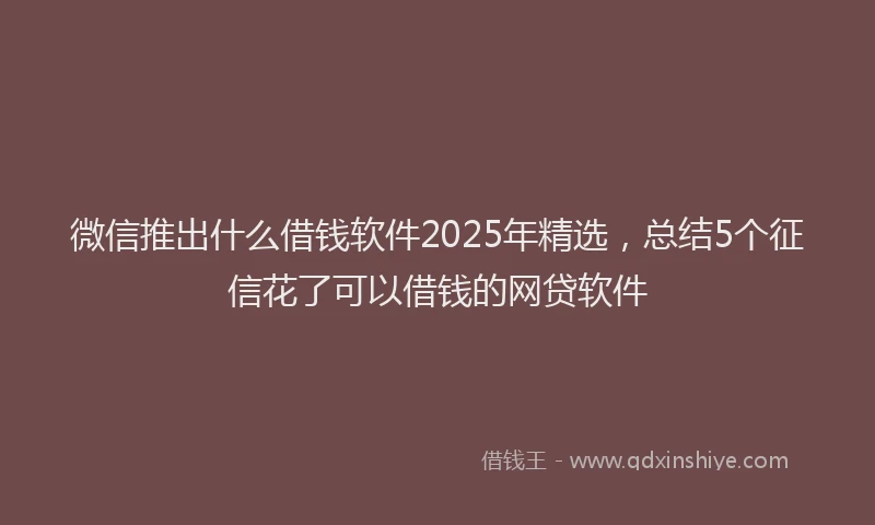 微信推出什么借钱软件2025年精选，总结5个征信花了可以借钱的网贷软件