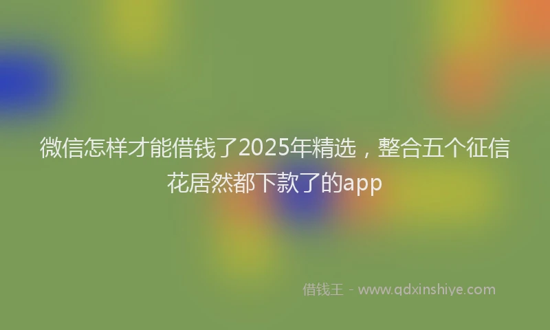 微信怎样才能借钱了2025年精选，整合五个征信花居然都下款了的app