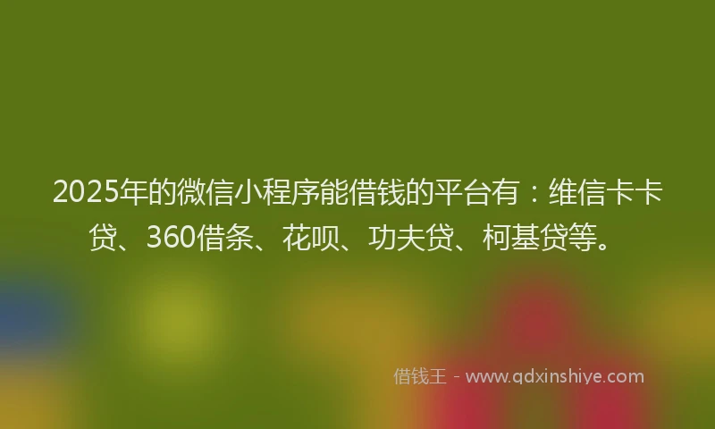 2025年的微信小程序能借钱的平台有：维信卡卡贷、360借条、花呗、功夫贷、柯基贷等。