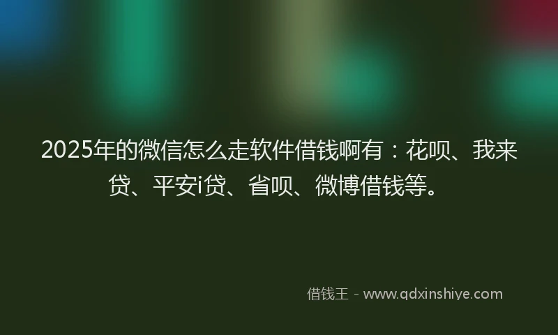 2025年的微信怎么走软件借钱啊有：花呗、我来贷、平安i贷、省呗、微博借钱等。