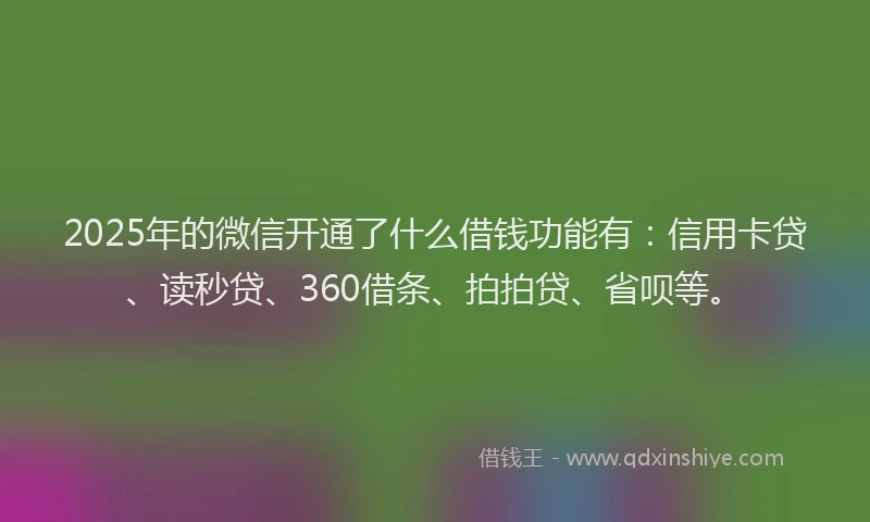 2025年的微信开通了什么借钱功能有：信用卡贷、读秒贷、360借条、拍拍贷、省呗等。