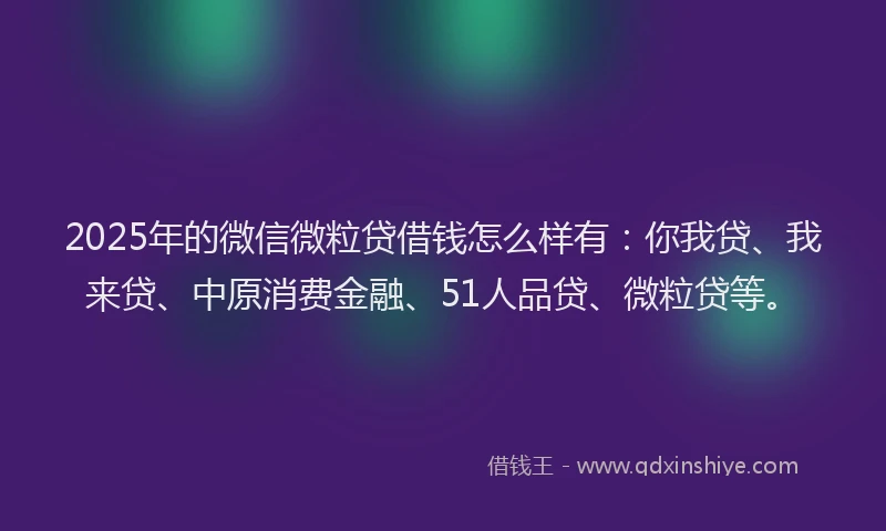 2025年的微信微粒贷借钱怎么样有：你我贷、我来贷、中原消费金融、51人品贷、微粒贷等。