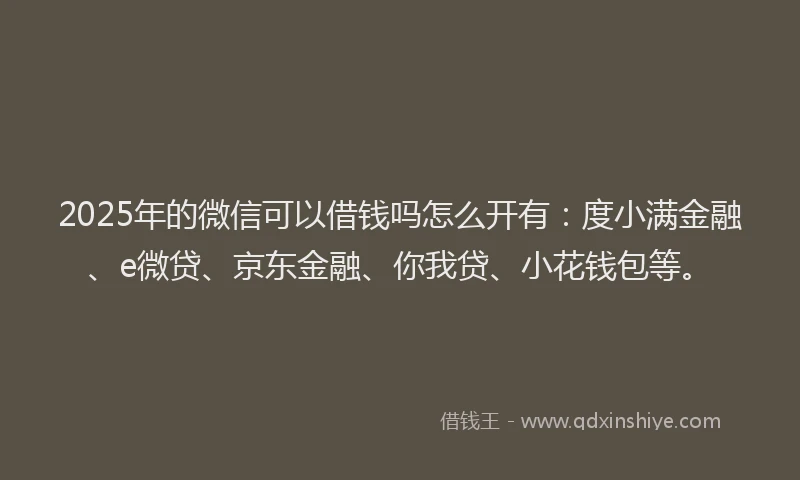 2025年的微信可以借钱吗怎么开有：度小满金融、e微贷、京东金融、你我贷、小花钱包等。