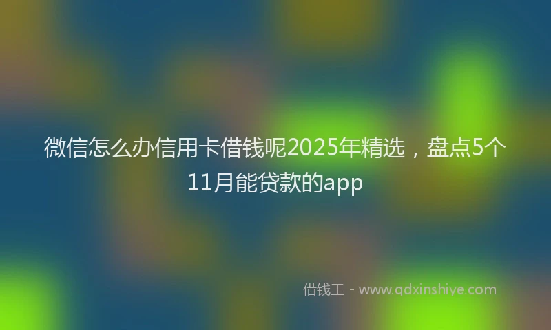 微信怎么办信用卡借钱呢2025年精选，盘点5个11月能贷款的app