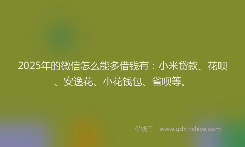 2025年的微信怎么能多借钱有：小米贷款、花呗、安逸花、小花钱包、省呗等。