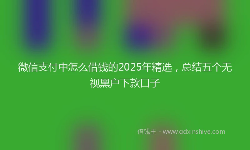 微信支付中怎么借钱的2025年精选，总结五个无视黑户下款口子