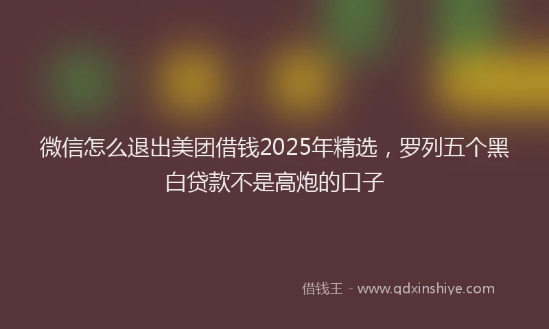 微信怎么退出美团借钱2025年精选，罗列五个黑白贷款不是高炮的口子
